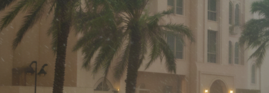 Shamal Winds in Qatar